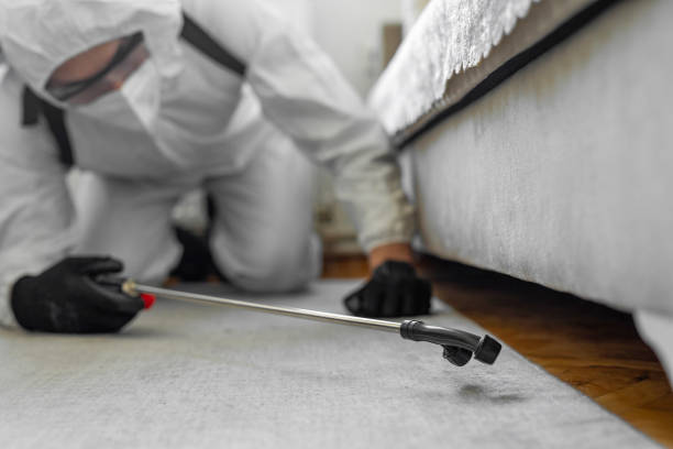 Professional Termite Control technician working in Burney, CA
