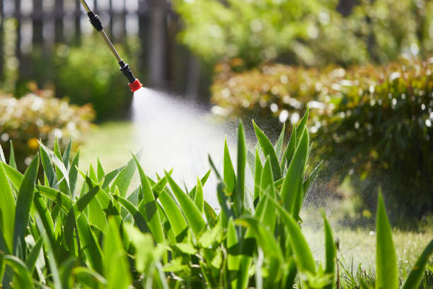 24/7 Emergency Termite Control experts in Burney, CA