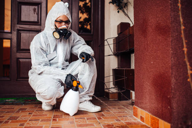 Reliable Termite Control contractor in Burney, CA by Nex Pest Control