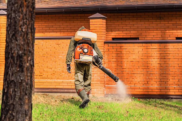 Top rated local Termite Control specialists in Burney, CA